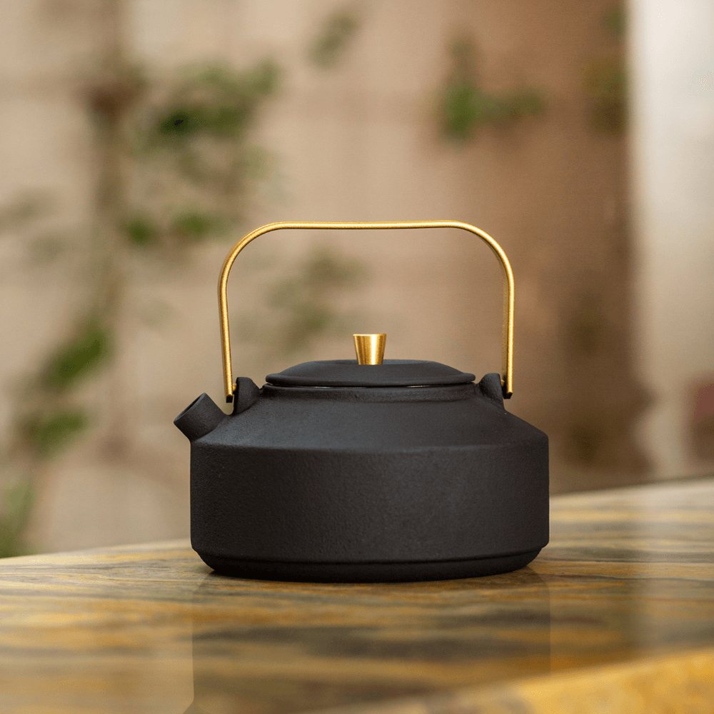 Bule-de-Ferro-Ning-2